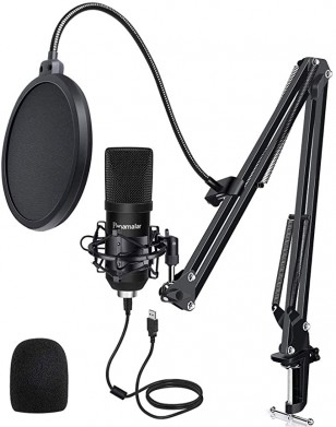 Panamalar Microphone